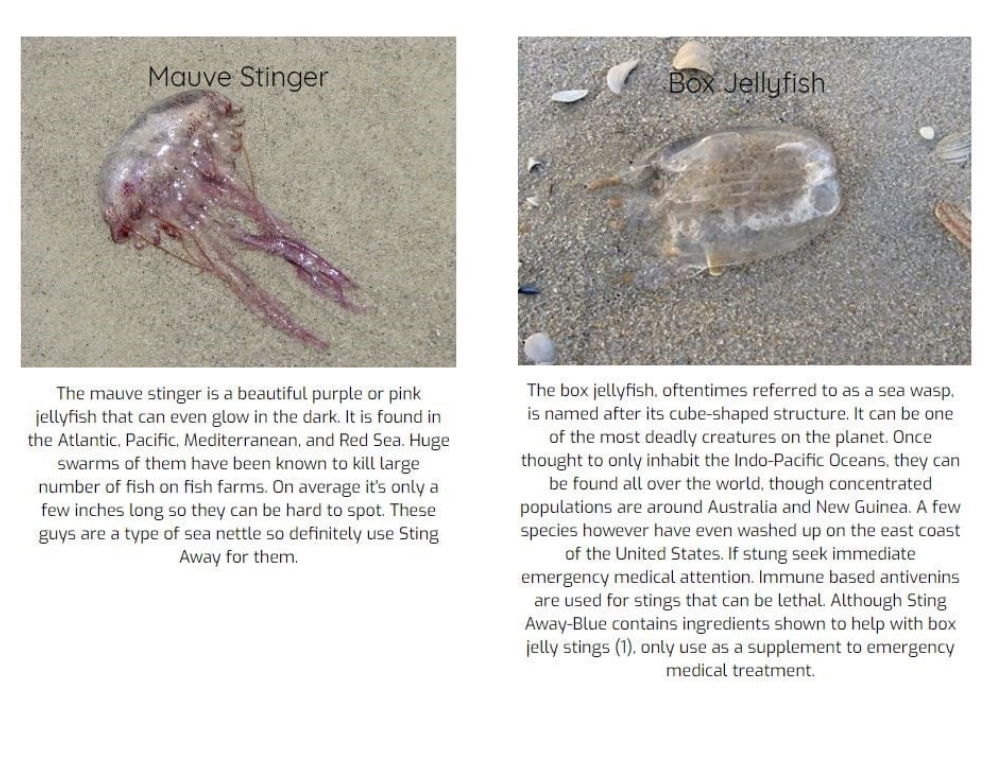 Mauve Stinger and Box Jellyfish
